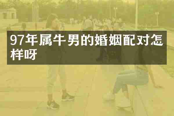 97年属牛男的婚姻配对怎么样呀