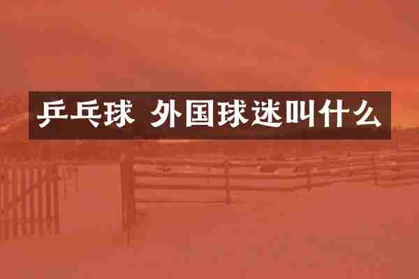 乒乓球 外国球迷叫什么