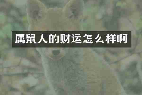 属鼠人的财运怎么样啊