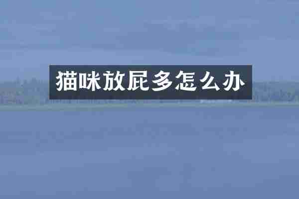 猫咪放屁多怎么办