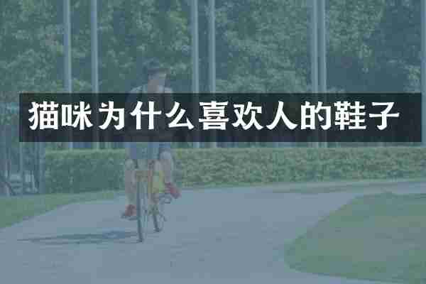 猫咪为什么喜欢人的鞋子