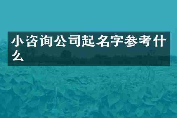 小咨询公司起名字参考什么