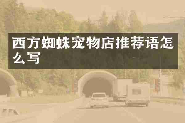 西方蜘蛛宠物店推荐语怎么写