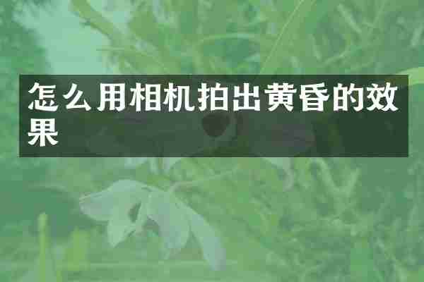 怎么用相机拍出黄昏的效果
