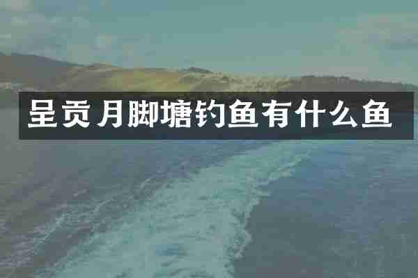 呈贡月脚塘钓鱼有什么鱼