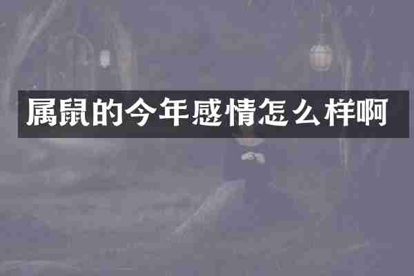 属鼠的今年感情怎么样啊