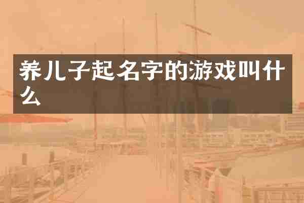 养儿子起名字的游戏叫什么