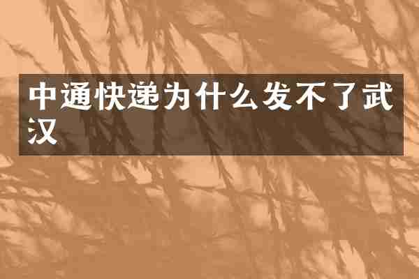 中通快递为什么发不了武汉