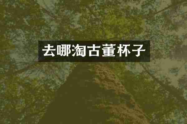 去哪淘古董杯子