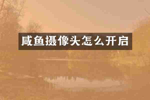 咸鱼摄像头怎么开启