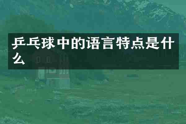 乒乓球中的语言特点是什么