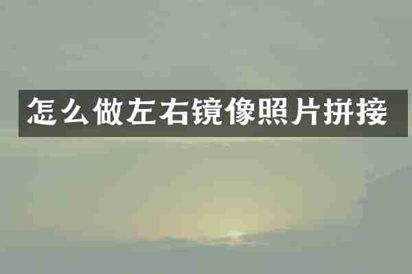 怎么做左右镜像照片拼接