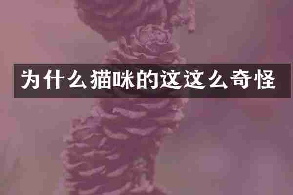 为什么猫咪的这这么奇怪