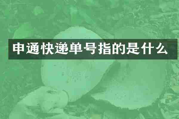申通快递单号指的是什么
