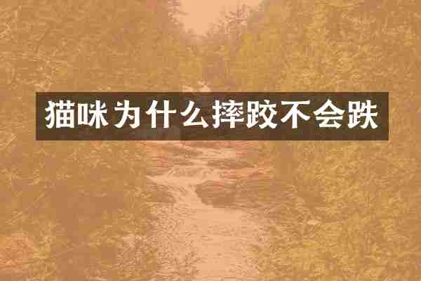 猫咪为什么摔跤不会跌