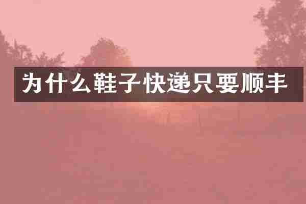 为什么鞋子快递只要顺丰