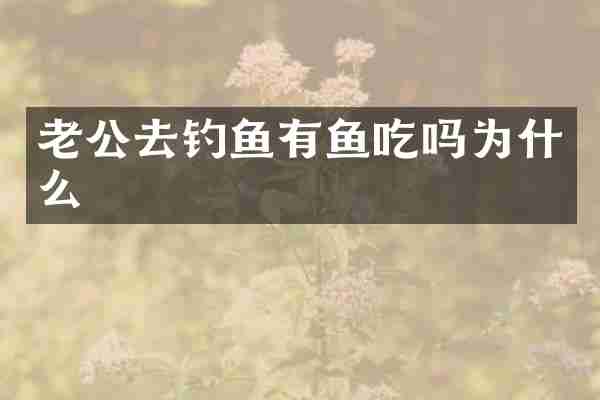老公去钓鱼有鱼吃吗为什么