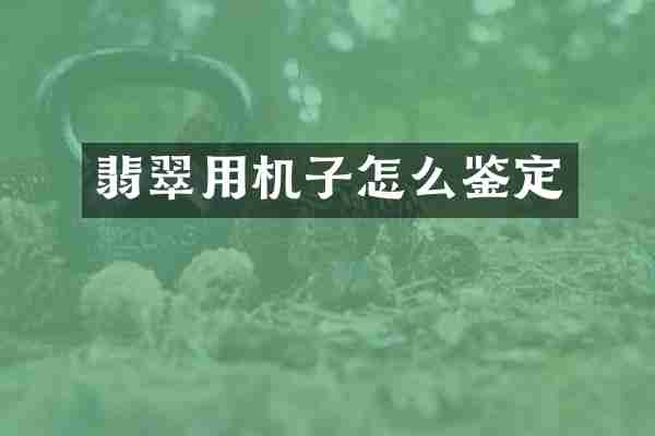 翡翠用机子怎么鉴定