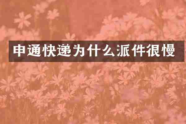 申通快递为什么派件很慢