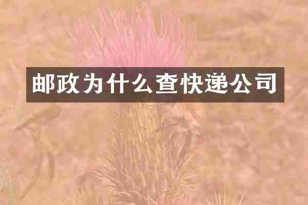 邮政为什么查快递公司