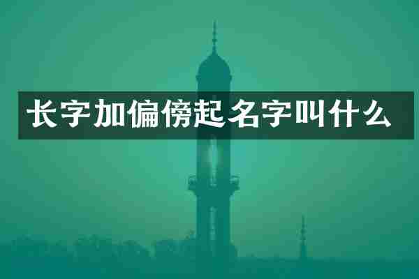 长字加偏傍起名字叫什么