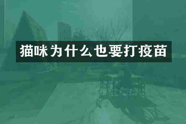 猫咪为什么也要打疫苗