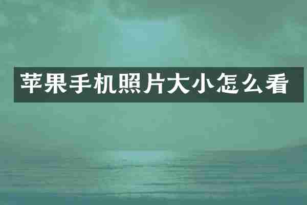 苹果手机照片大小怎么看