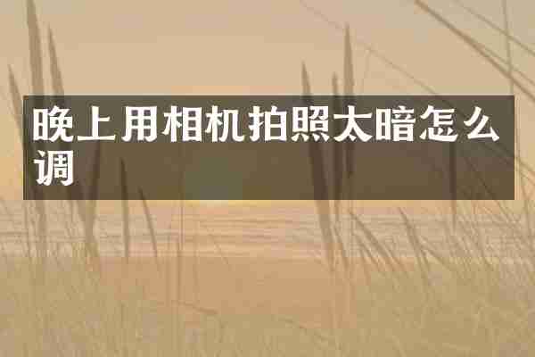 晚上用相机拍照太暗怎么调