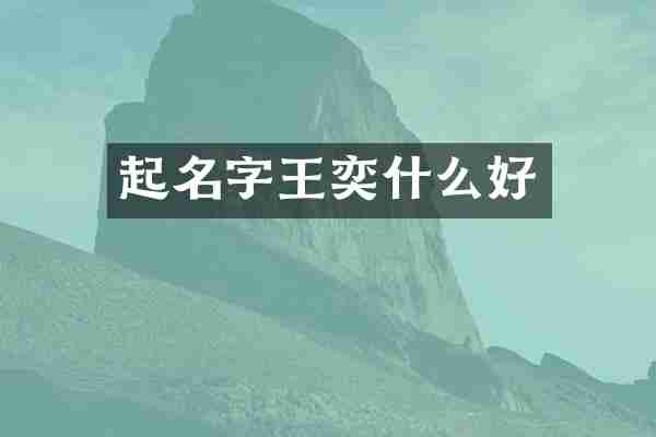 起名字王奕什么好