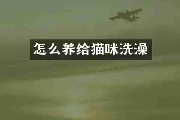 怎么养给猫咪洗澡
