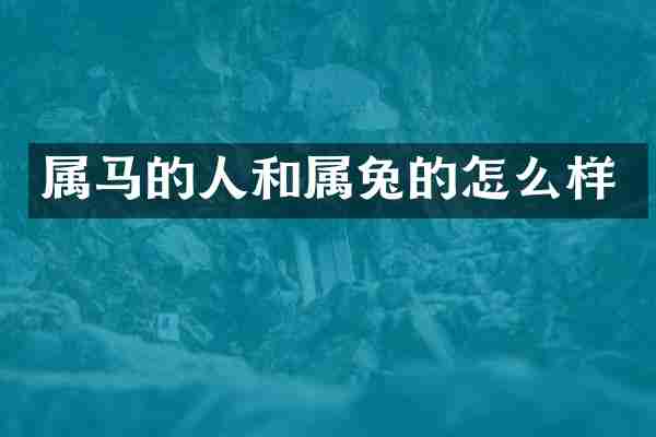 属马的人和属兔的怎么样
