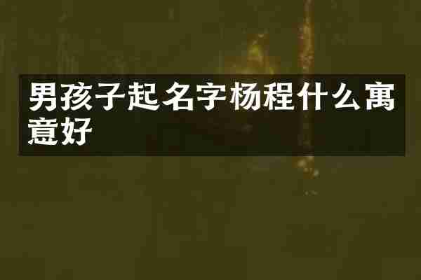 男孩子起名字杨程什么寓意好