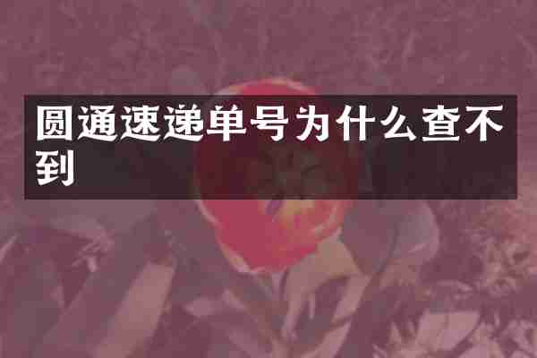 圆通速递单号为什么查不到