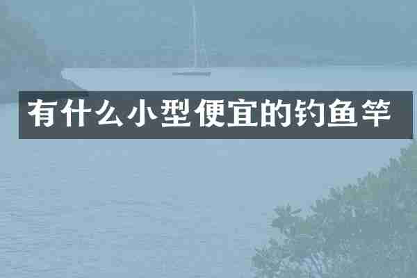 有什么小型便宜的钓鱼竿