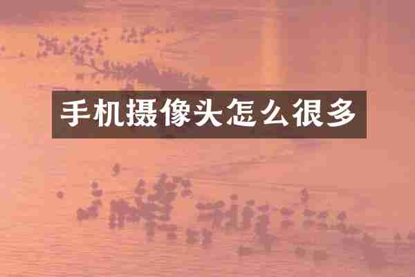 手机摄像头怎么很多