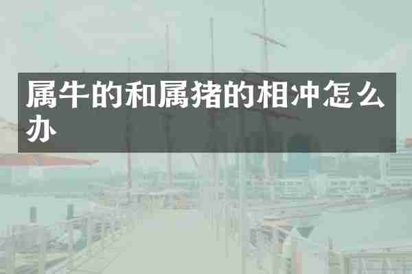 属牛的和属猪的相冲怎么办