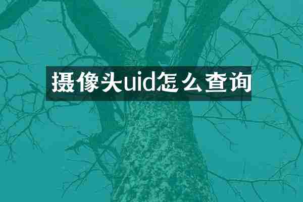 摄像头uid怎么查询
