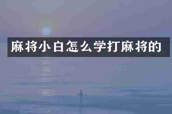 麻将小白怎么学打麻将的