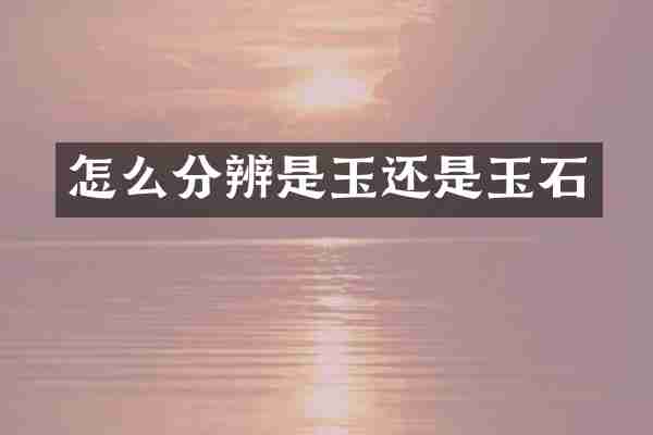 怎么分辨是玉还是玉石