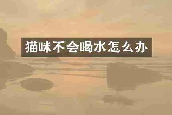 猫咪不会喝水怎么办