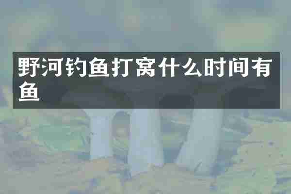 野河钓鱼打窝什么时间有鱼