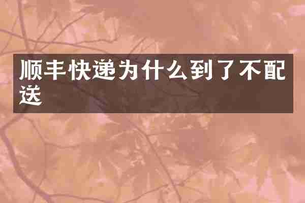 顺丰快递为什么到了不配送