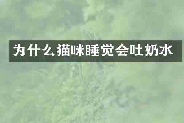 为什么猫咪睡觉会吐奶水