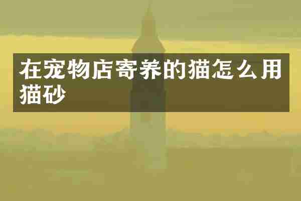 在宠物店寄养的猫怎么用猫砂