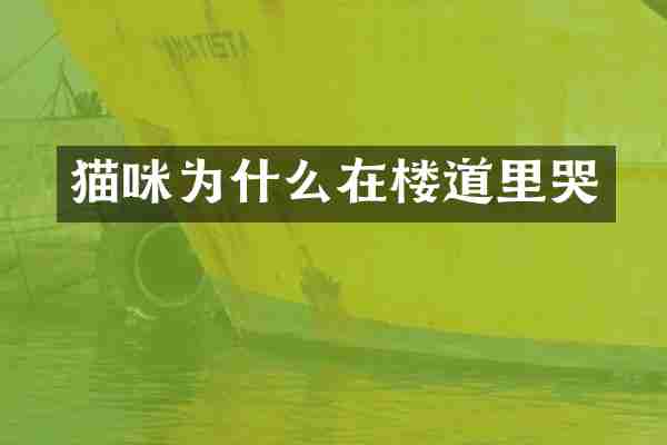 猫咪为什么在楼道里哭