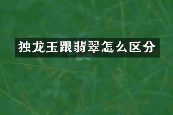 独龙玉跟翡翠怎么区分