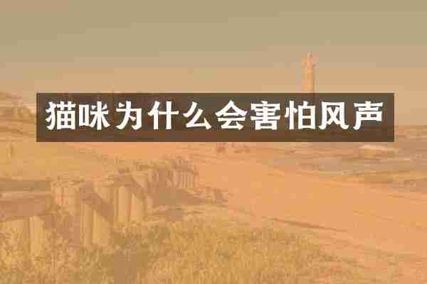 猫咪为什么会害怕风声