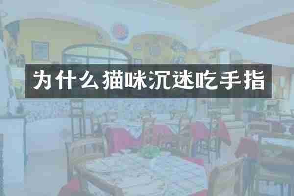 为什么猫咪沉迷吃手指
