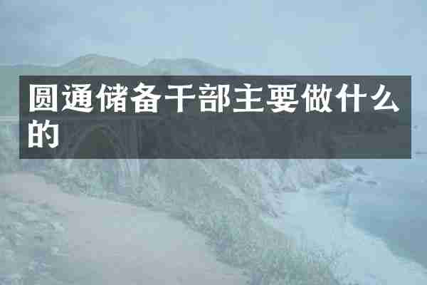 圆通储备干部主要做什么的