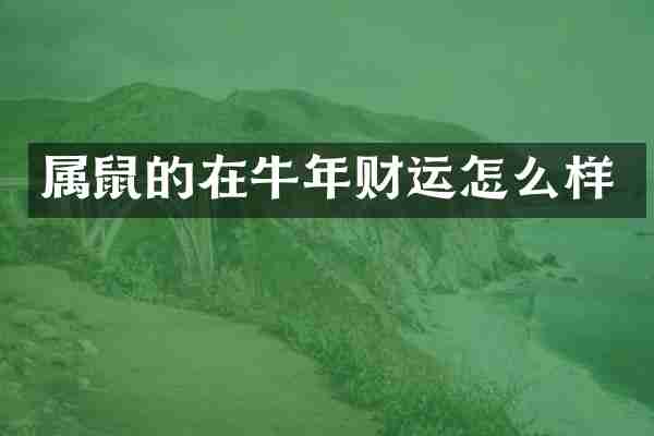 属鼠的在牛年财运怎么样